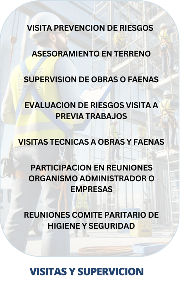 Visitas y supervision